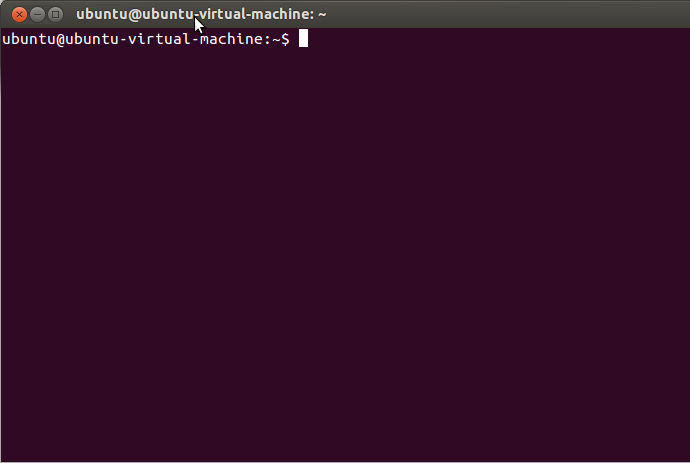 Linux Blank Terminal